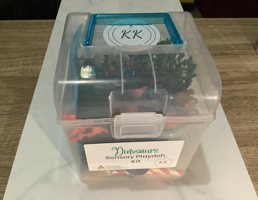 Closed carry kit of Contents of allergen-free Dinosaurs Sensory Playdoh Kit