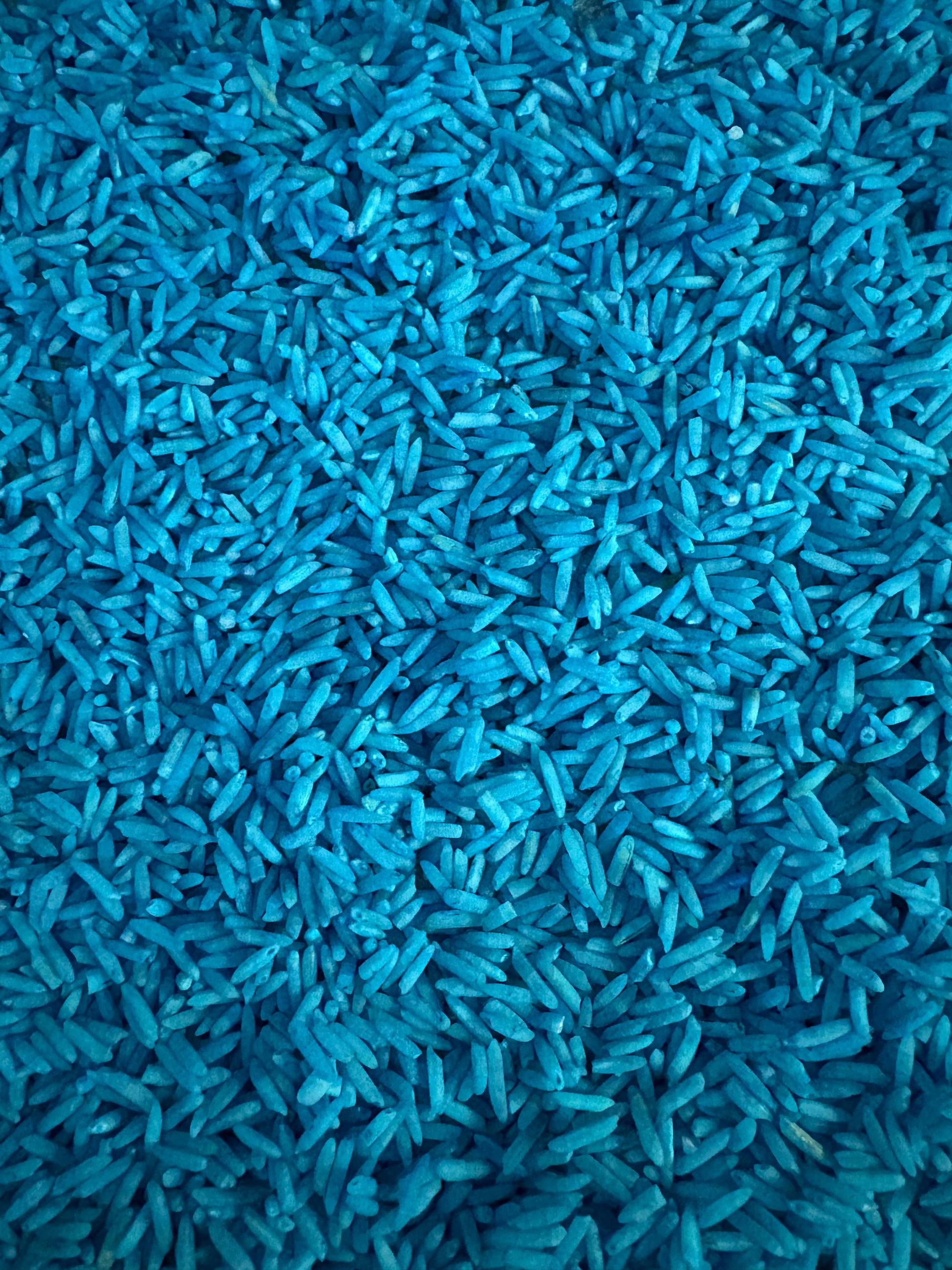 Pictured of some of the Krafty Kat Sensory Rice coloured blue
