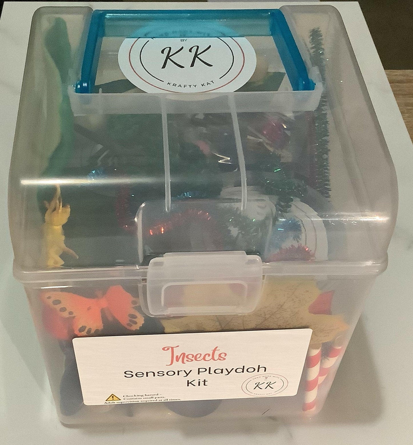 Insects Sensory Playdoh Kit