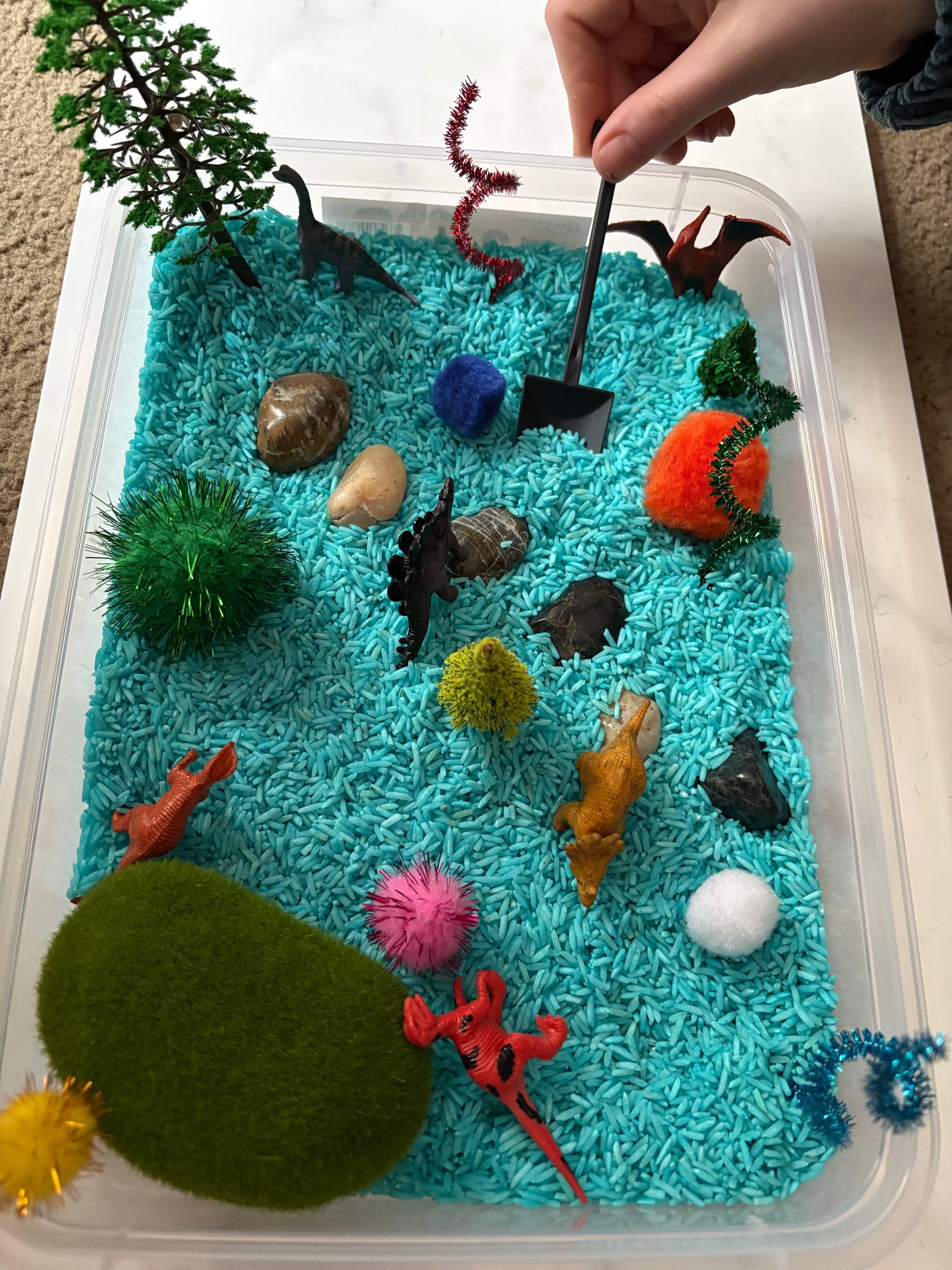 Sensory Bases Collection