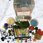 Insects Sensory Playdough Kit - Krafty Kat